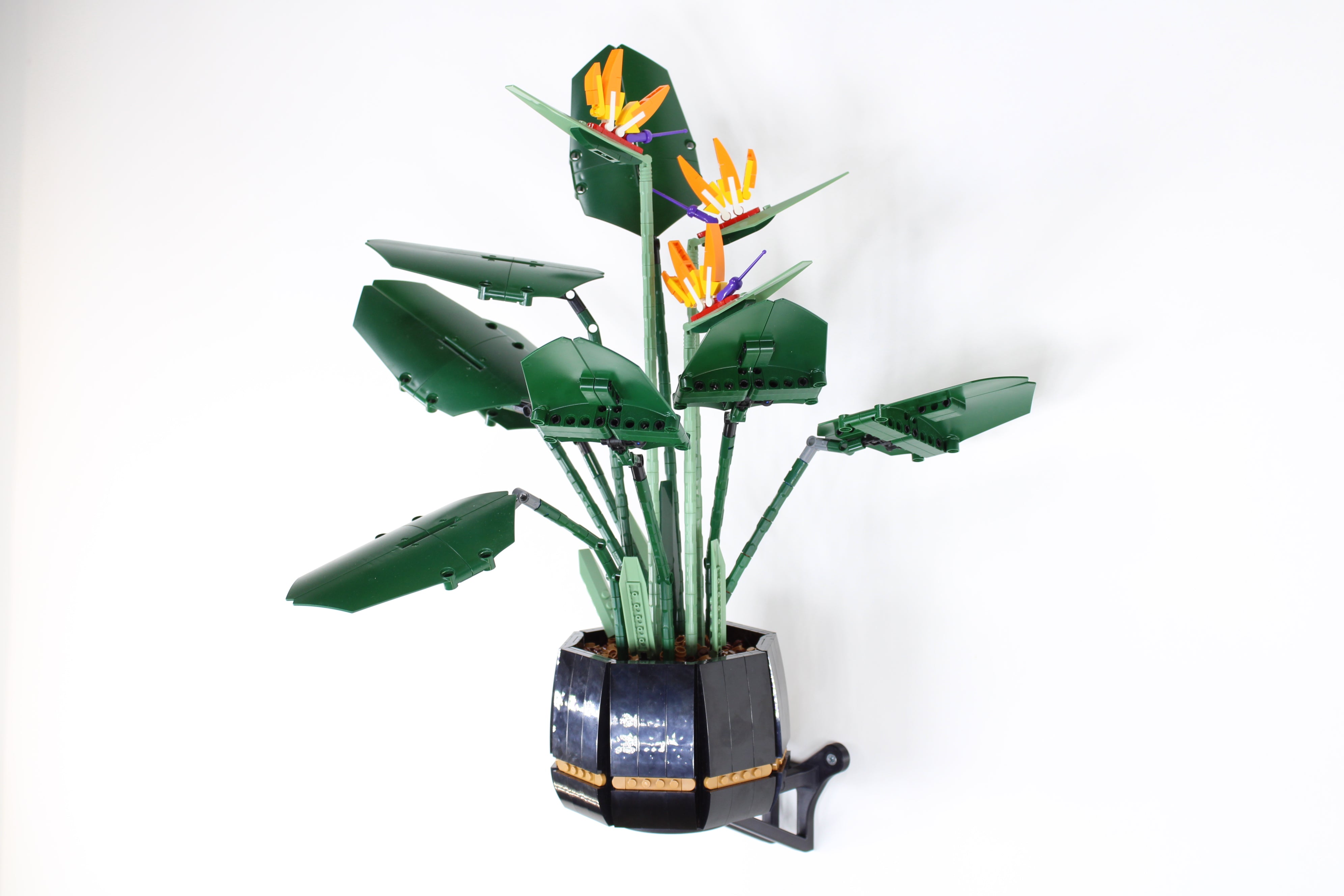Wall Mount for LEGO® Icons 10289 Bird of Paradise – HOX3D